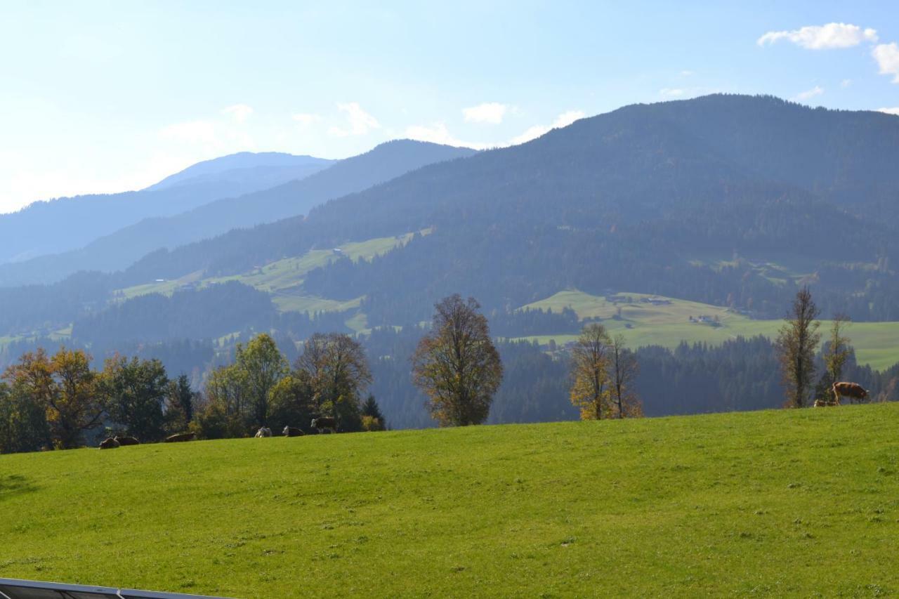 Landhaus Desiree Hopfgarten im Brixental Exterior foto